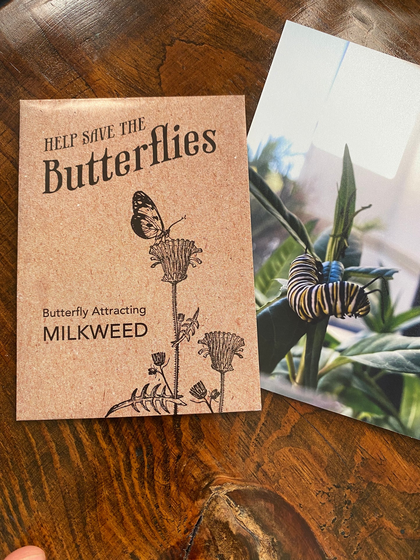 Monarch Butterfly Wings and Chrysalis Earrings